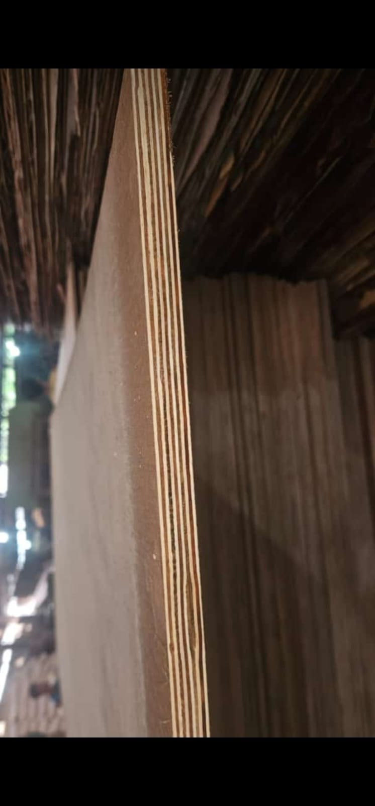Close-up of layered plywood sheets